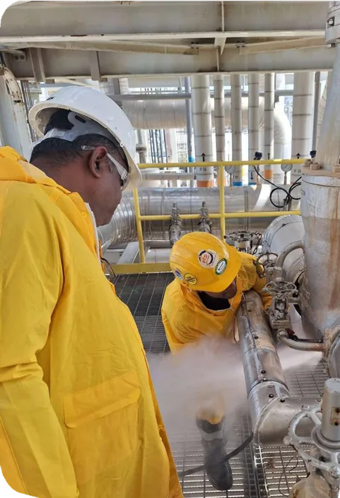 Online leak sealing